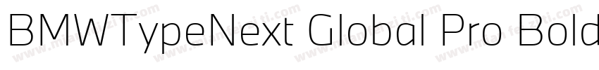 BMWTypeNext Global Pro Bold字体转换